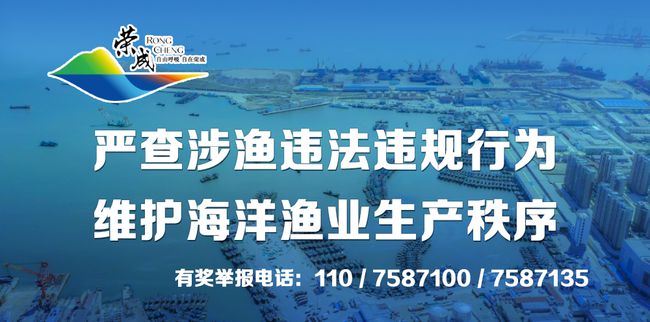 石岛招聘最新信息港，人才与机遇的桥梁