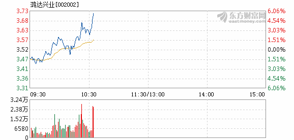 鸿达兴业股票最新消息全面解读与分析